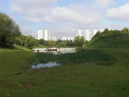 Река городня