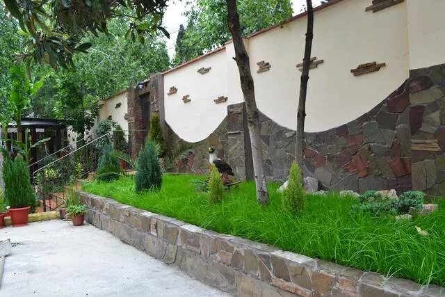 Зеленый дворик адлер гостевой дом ул ленина. Гд зеленый дворик адлер ул ленина 219/17. Адлер ул ленина дом 219. Зелёный дворик адлер полевая 10. Зеленый дворик адлер.