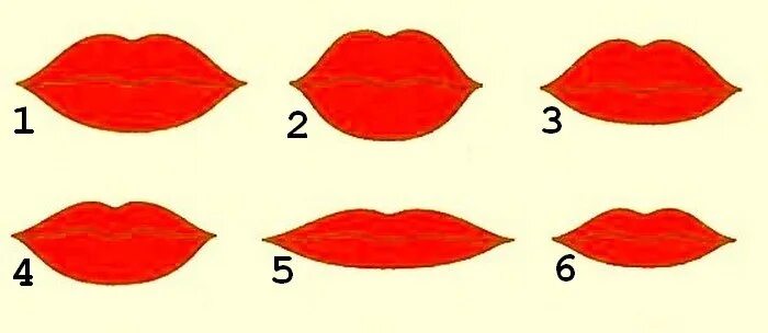 Формы губ. Разные формы губ. Формы губ и их названия. Губы для поделок. Как отличить губы
