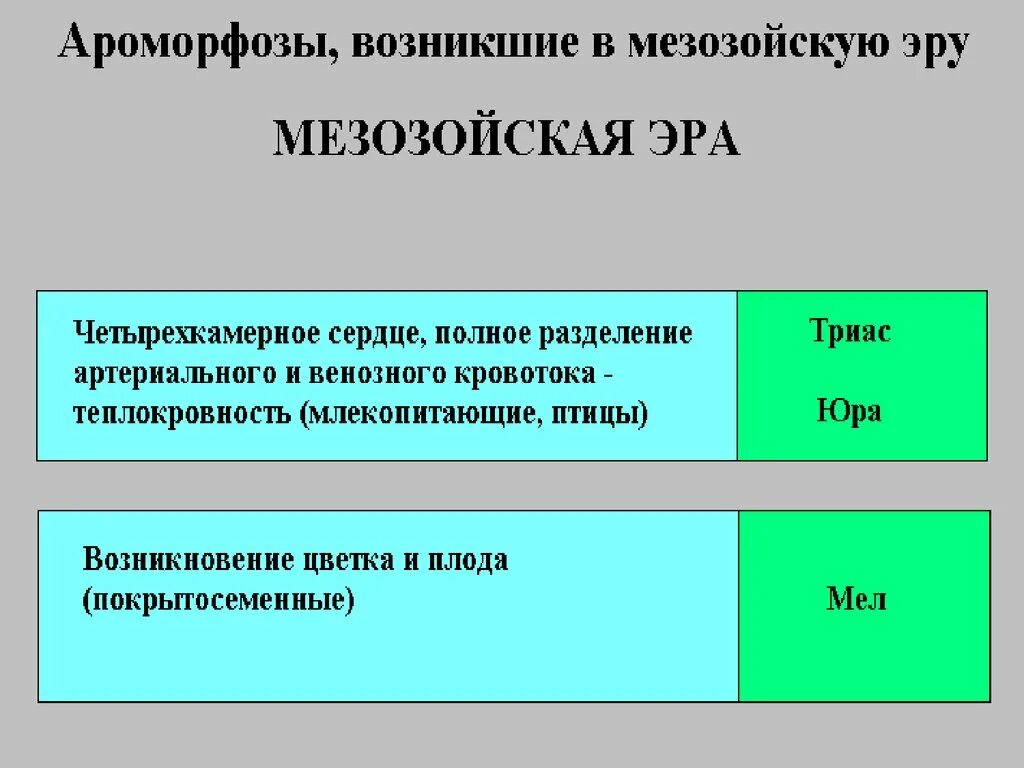 Ароморфозы мезозоя. Основные ароморфозы мезозойской эры таблица. ароморфозы мезозойской эры. ароморфозы юрского периода. юрский период ароморфозы растений.