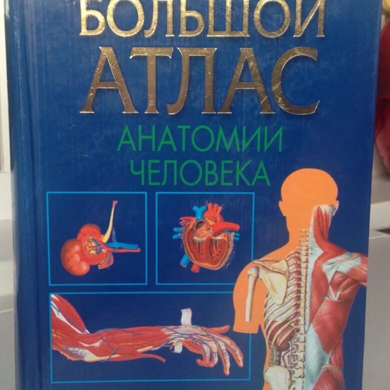 Энциклопедии 2017. Города мира книга. Огромная детская книга. Почему так. Детская энциклопедия города.