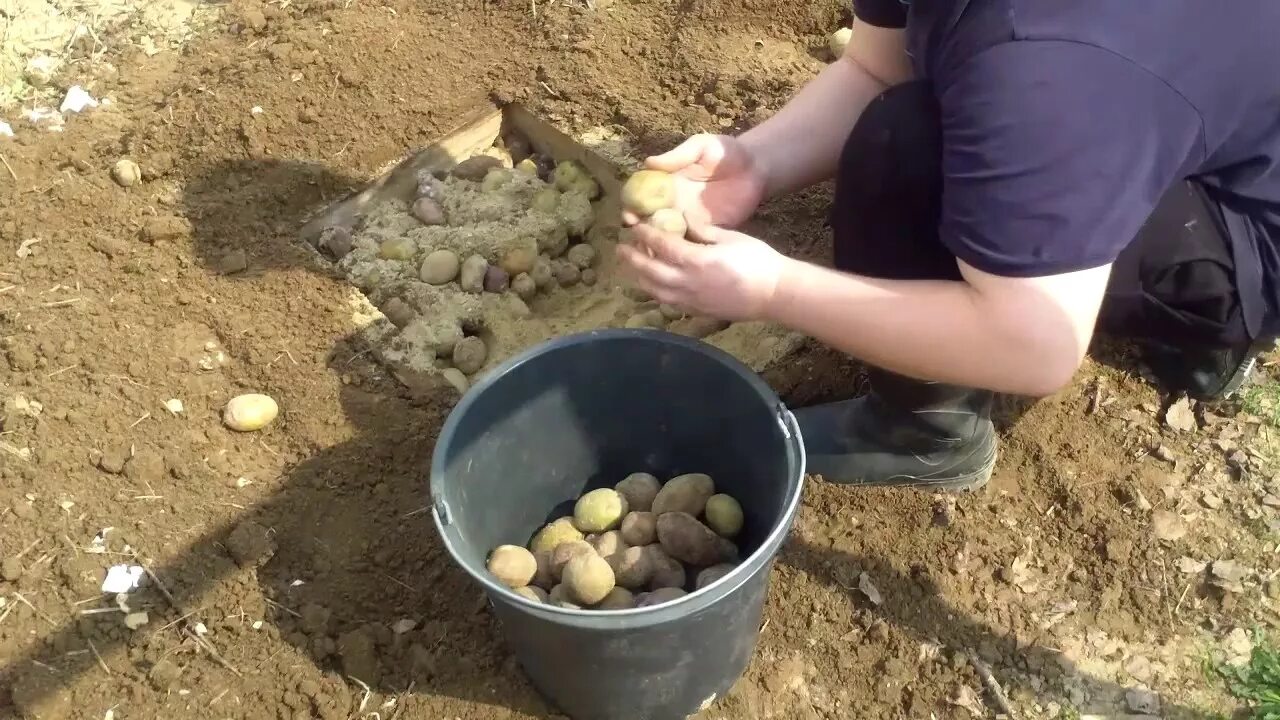 Можно ли сыпать картошку. Картошка в погребе. Картофель в подвале. Хранилище картошки на даче. Мини погреб для картошки в земле.