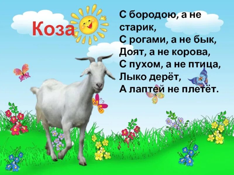Загадка про козу. Стихи про козу для детей. Загадка про козу для детей. Смешной стишок про козу. Бородой трясет лыко дерет а лаптей