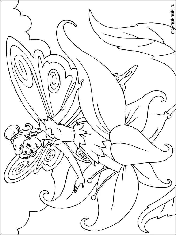 Color fairy