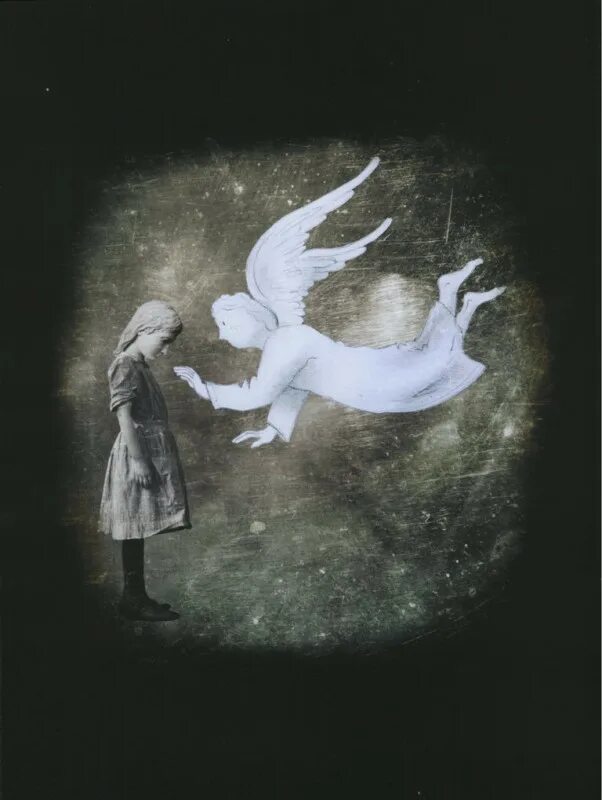 Angel toby. Лис и пёс мультфильм. Angel toby. Angel toby. Тоби испания 1978.