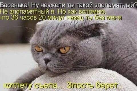 Да я сам такой