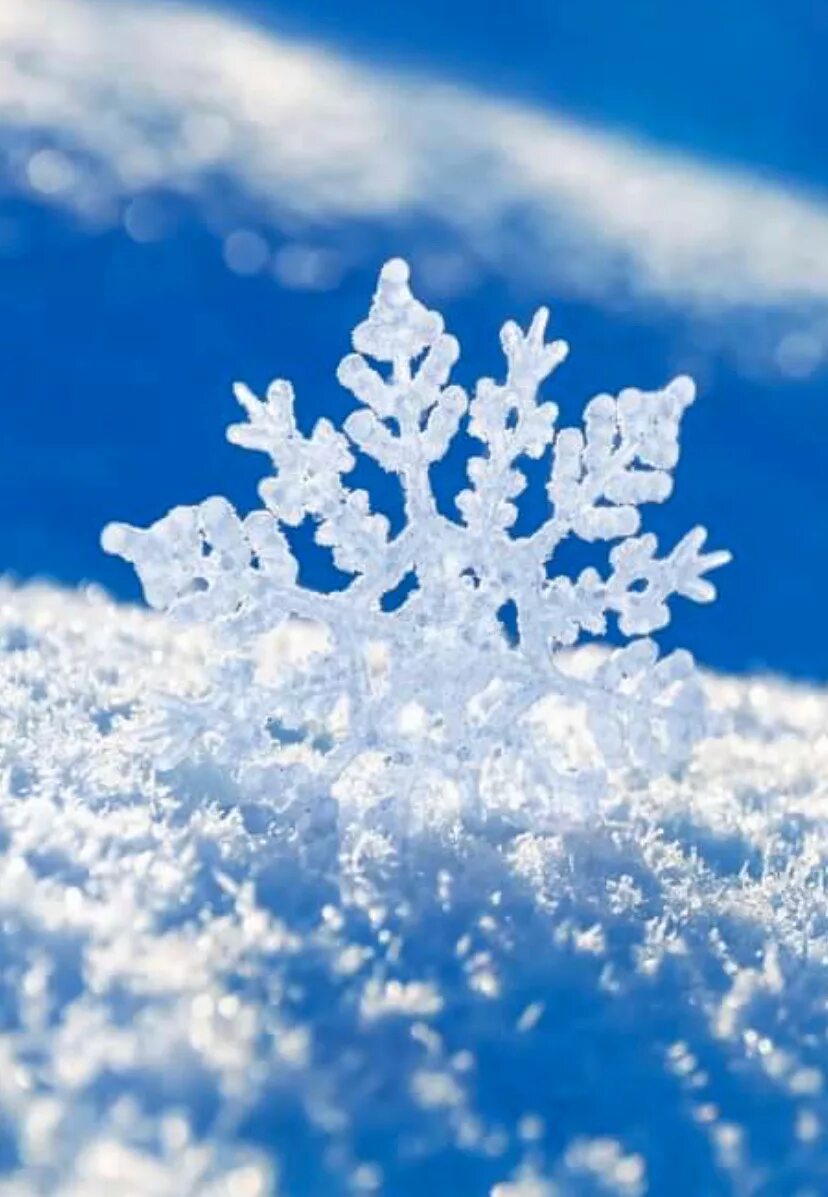 Душевная зима. Снег зима город. Снежинка на ладошке. Зимние фотографии на аватарку. Зима вацап.