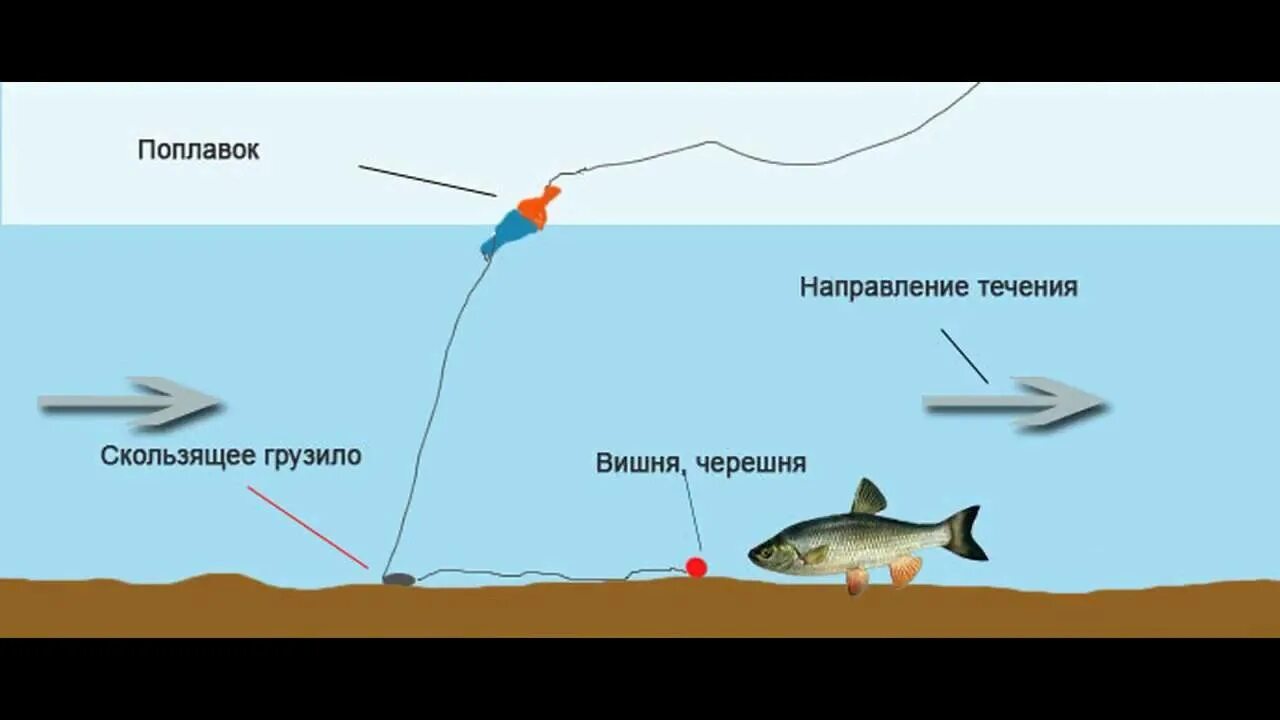 Ловля поплавком с берега. Поплавочная оснастка на голавля. Поплавочная снасть на сома. Снасти для рыбалки на сома. Поплавочная оснастка для ловли голавля.