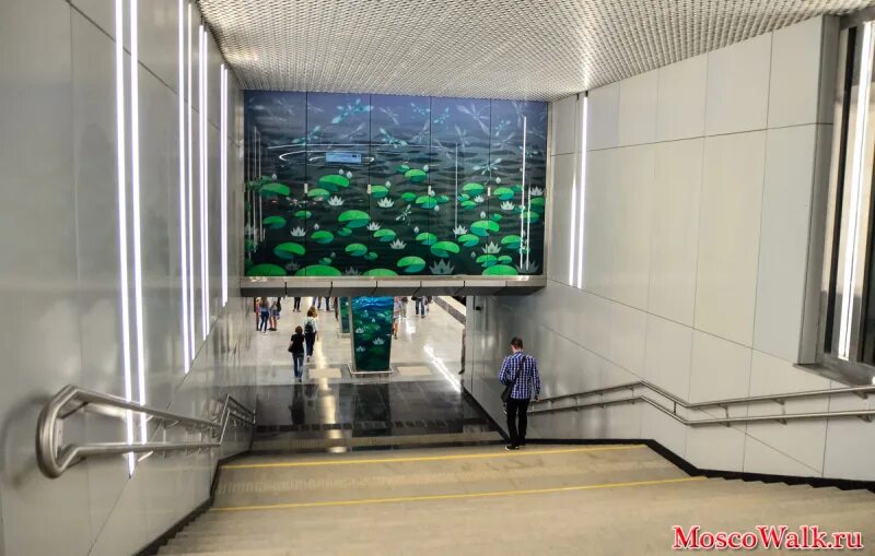 Станция метро озерная площадь. Станция озёрная московского метро. Станция метро озерная москва. М озерная. Метро озерная адрес.