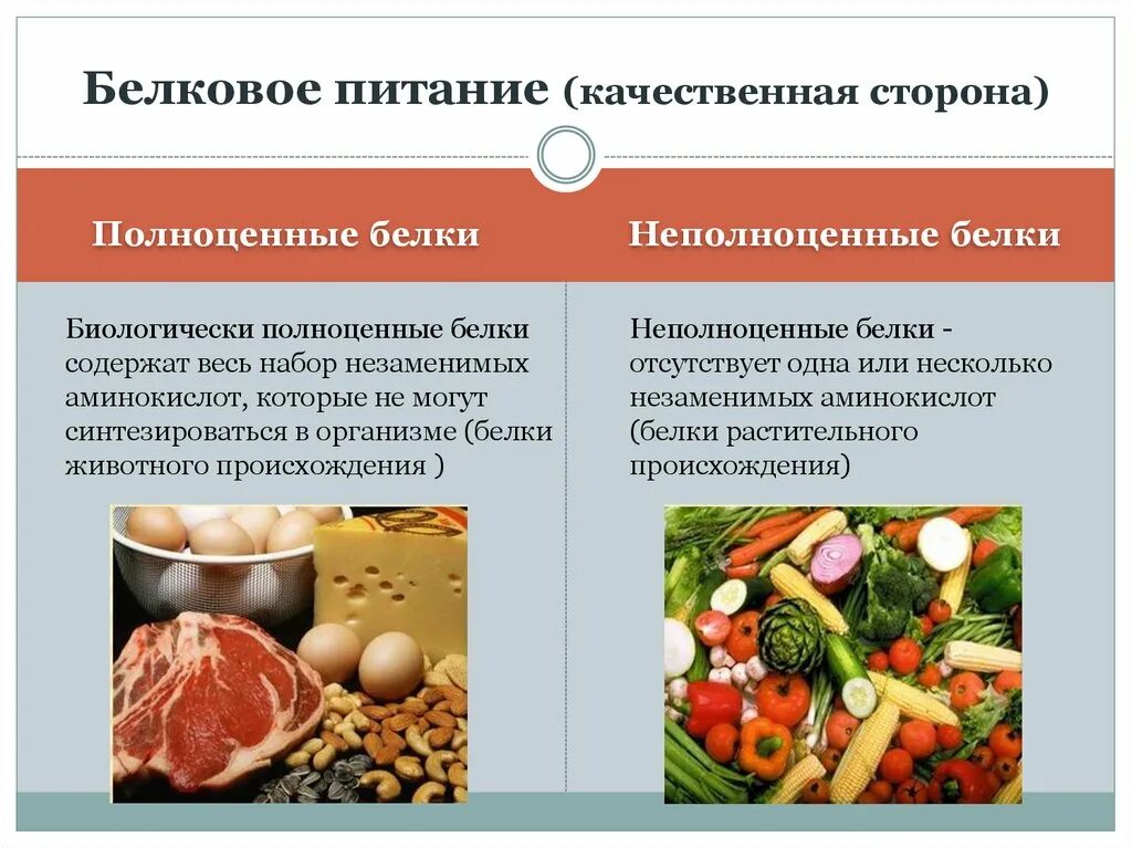 Основным источником белка является. Полноценные и неполноценные белки. Белки пищи полноценные. Белковые продукты полноценные и неполноценные. Белок в питании.