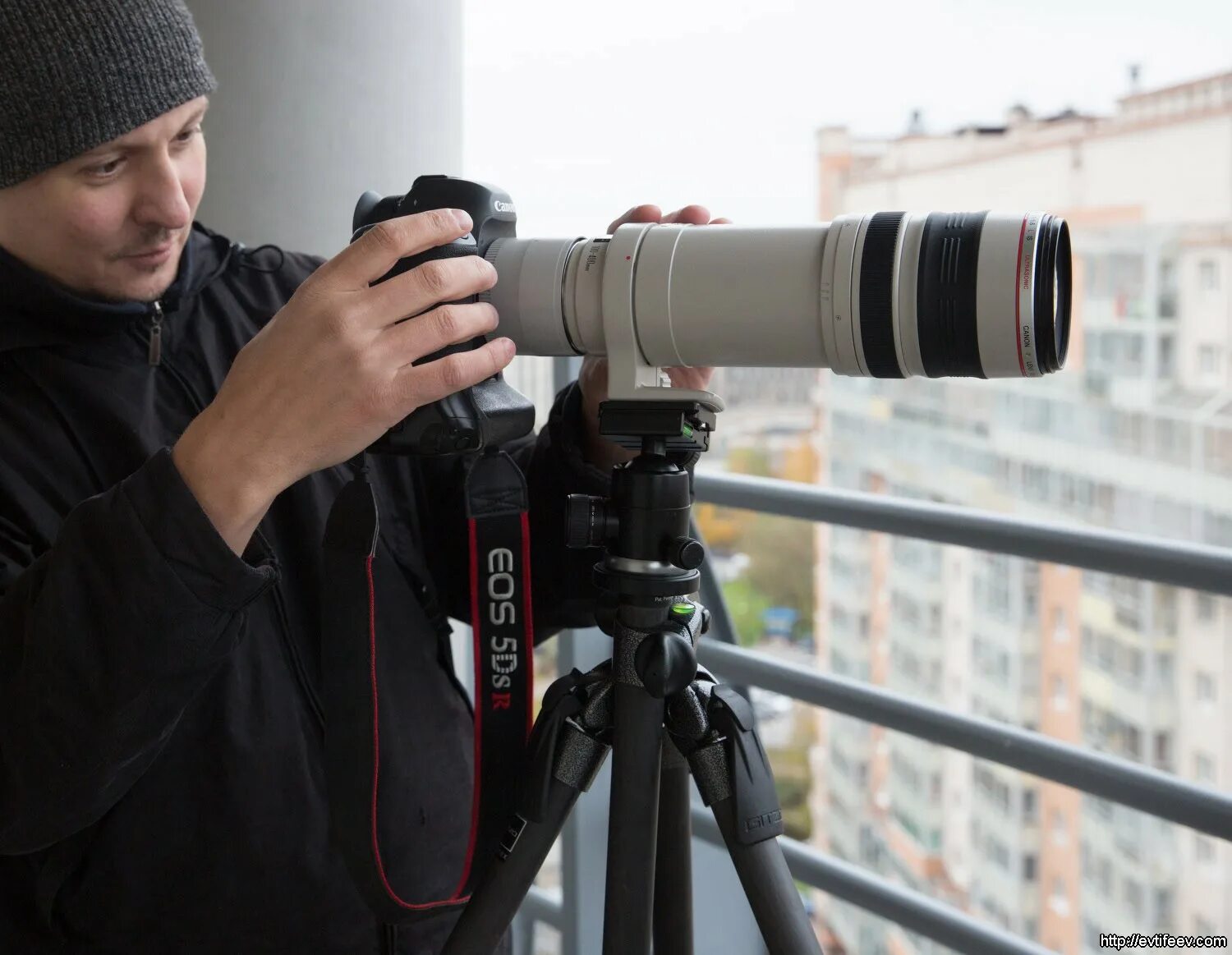 Объектив canon 1000mm. Canon ef 800mm. Nikon 600mm f/4g ed vr af-s. Sigma 200-500 mm f2. Объектив sigma 1200mm.