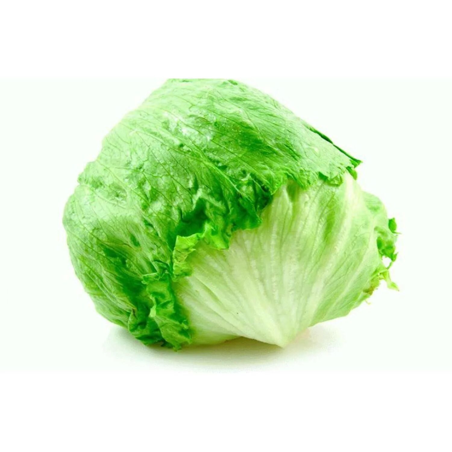 Айс салат. Iceberg lettuce капуста. Салат латук кочанный Айсберг. Салатная капуста Айсберг. Салат Айсберг 1кг.