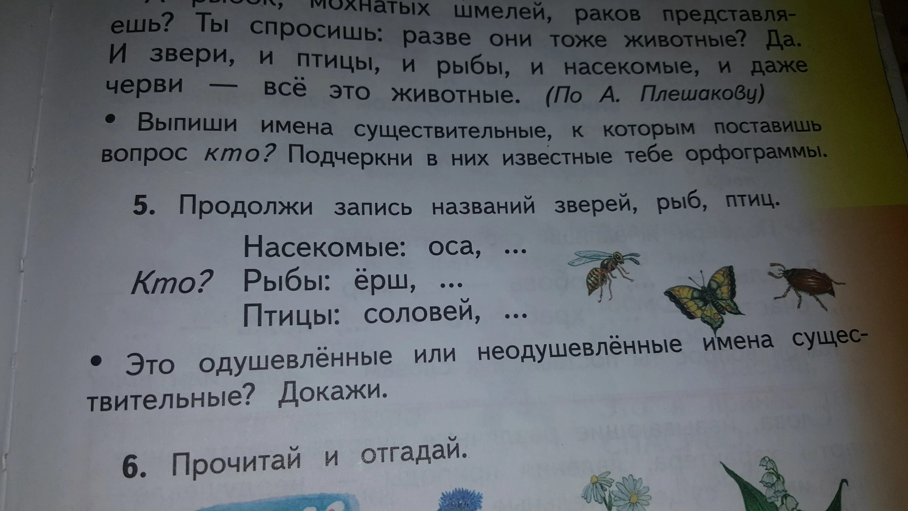 Продолжи запись названий зверей рыб птиц. Выпиши из текста названия зверей, птиц, насекомых. И выпиши из текста по 2 названия животных звери птицы рыбы. Рыба кто или что в русском языке.