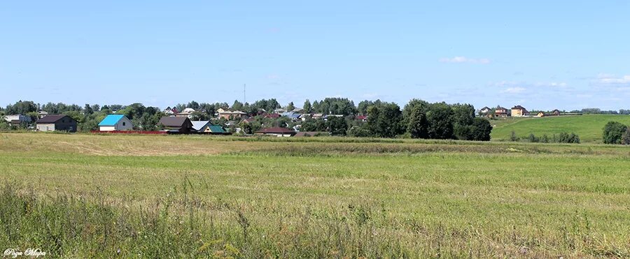 Село борисовское суздальского. Храм святого василия великого село борисовское. Село борисовское суздальского. Село борисовское суздальского. Село борисовское суздальского.