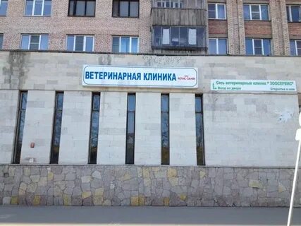 Большевистская 33