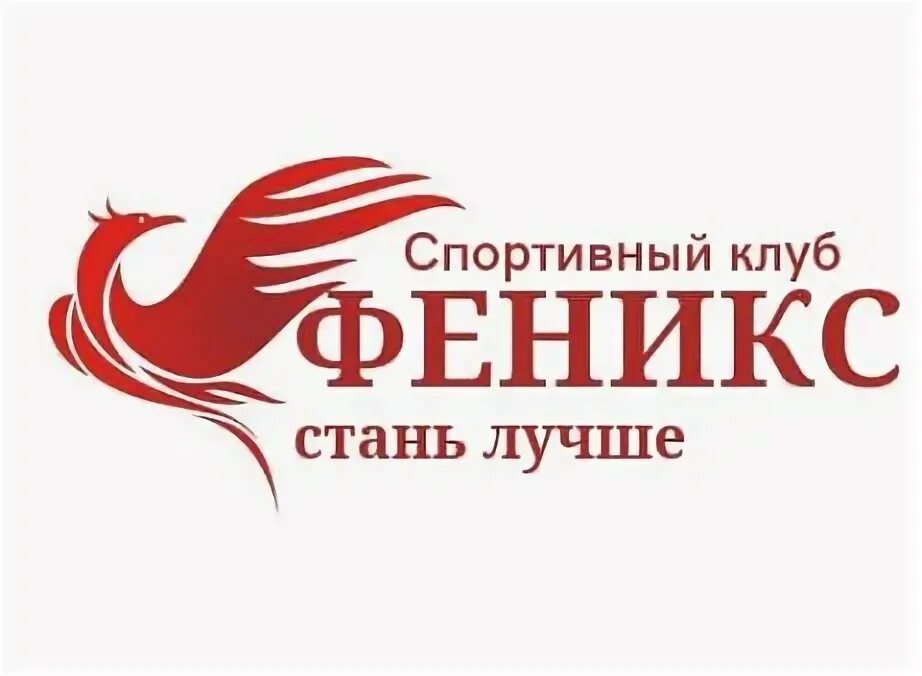 Phoenix club. Спортивный клуб феникс. феникс барнаул. club phoenix петрозаводск. клуб феникс петрозаводск.
