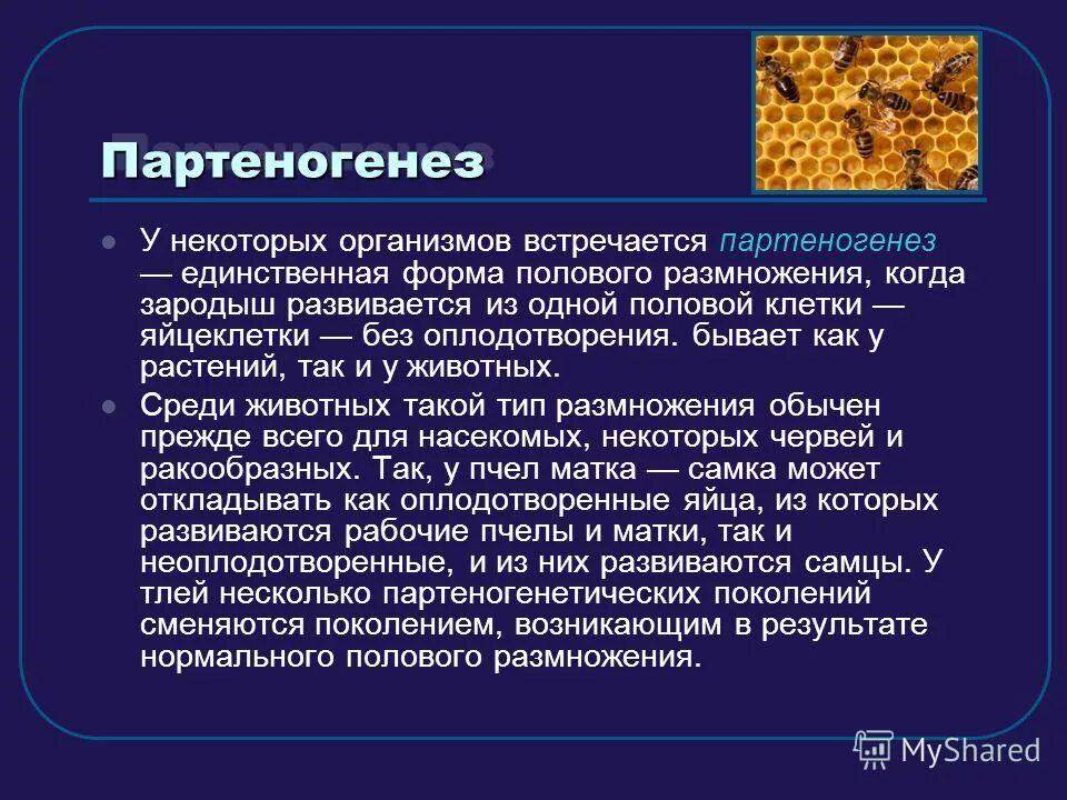 Жизнь на земле происходит благодаря размножению организмов