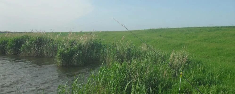 Погода горьковский ставропольский край новоалександровский. Ставропольский край Новоалександровский район поселок рассвет. Хутор Новоалександрийский Ставропольского края. Хутор Восточный Ставропольский край. Хутор Фельдмаршальский Новоалександровский район рыбалка.