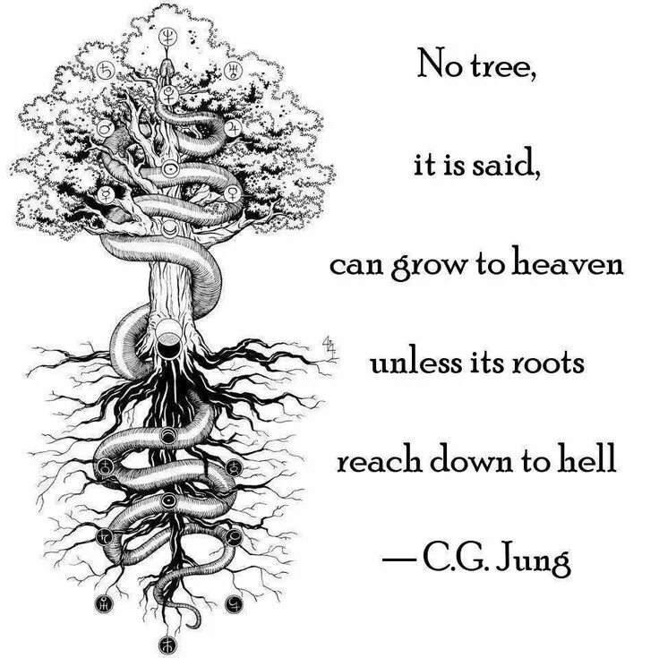 Above root