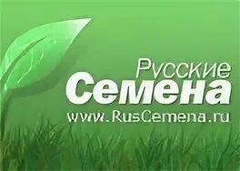 Русские семена. Магазин русские семена. РУССЕМЕНА интернет магазин. Русские семена каталог.