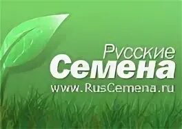 Руски семени