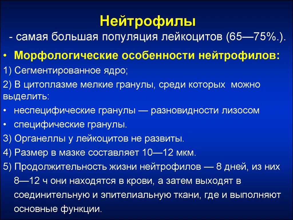 Нейтрофильный индекс. Лейкоциты нейтрофилы классификация. Характеристика гранулоцитов нейтрофилы функции. Структурные и функциональные особенности нейтрофилов. Нейтрофилы краткая характеристика.