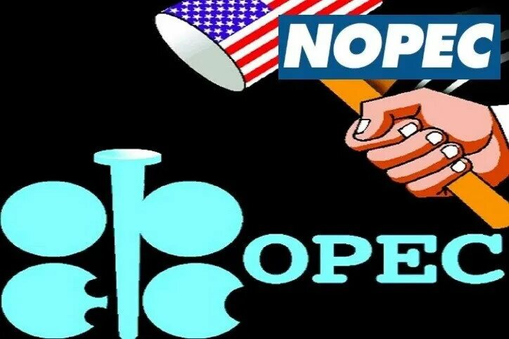 Законопроект опек. Законопроект опек