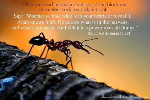 Is known all over the