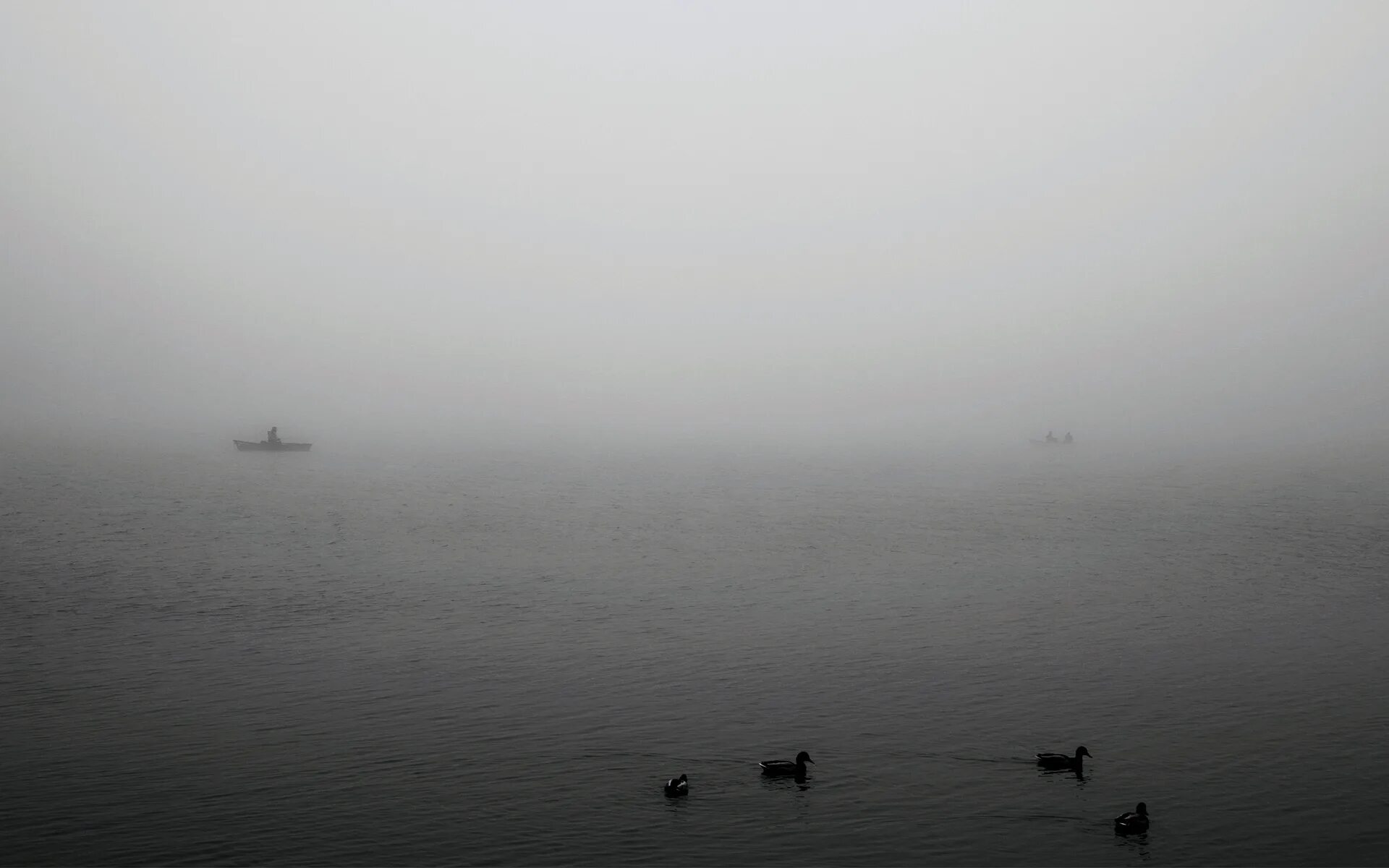 море тумана и обряды. сквозь туман море тумана и обряд деревьев. море тумана и обряд деревьев. туман геншин импакт. море туманные обряд деревьев уничтожите гнездовье.