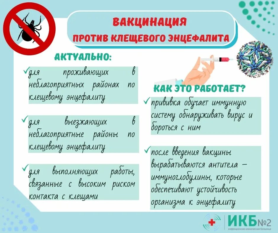 Когда нужно делать прививку от клеща. Прививка от энцефалитного клеща схема вакцинации. клещевой энцефалит график вакцинации. клещ энцефалитный прививка схема. схема вакцинации против клещевого энцефалита.