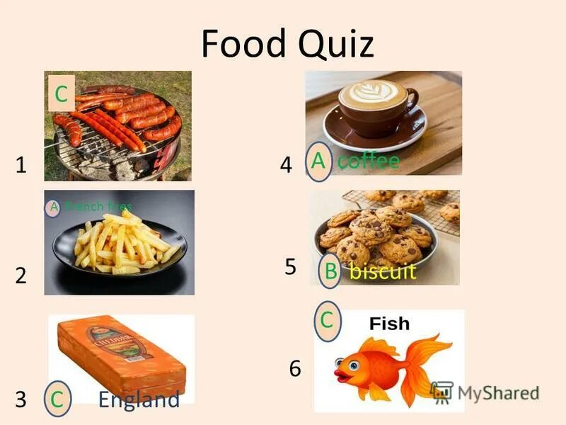 Module 3 unit 6 4 класс. Unit 1 grammar. Английский в фокусе тест. Spotlight 4 module 3. Английский язык 4 класс рабочая тетрадь quiz time.