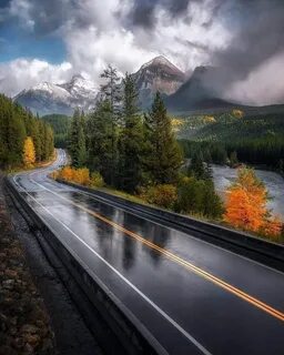 Самый дорогой пейзаж