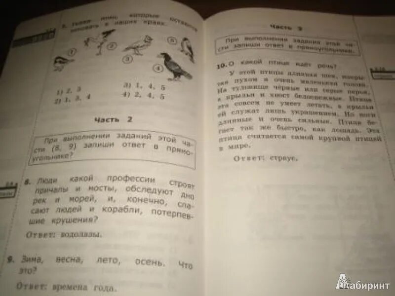 Работа с текстом 1 класс итоговая. Годовая аттестация по окружающему миру. Итоговая аттестация 2 класс окружающий мир. Итоговая аттестация 4 класс. Аттестация по окружающему миру 1 класс.