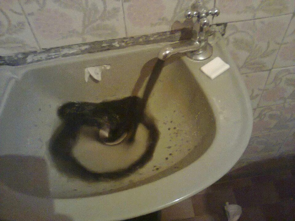 Топить котят это грех. Топить котят это грех