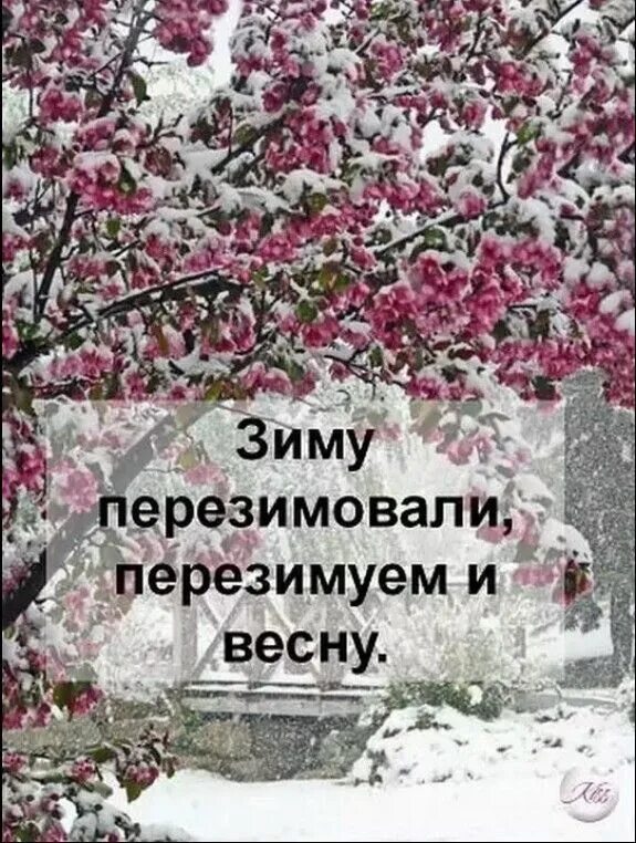 Главное чтобы март не забыл. Перезимовали зиму Перезимуем и весну. Перезимуем весну. Зиму перезимовали осталось перезимовать весну. Фразы про весну прикольные.