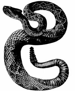 Snake plate