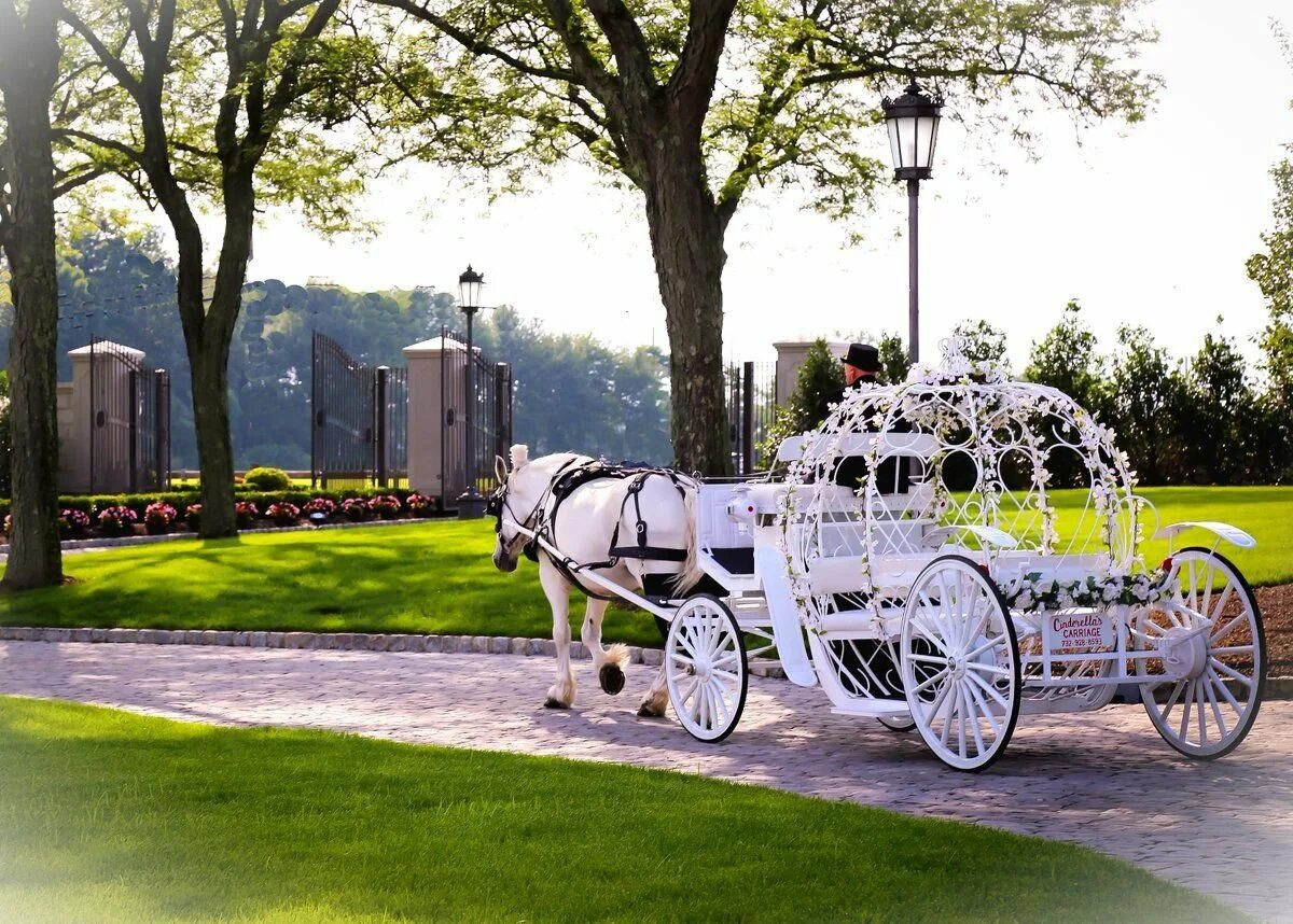 Карета с лошадью. Карета нужна. Карета нужна. Карета уильяма герцога глостерского 18 век. Карета фаэтон для золушки.