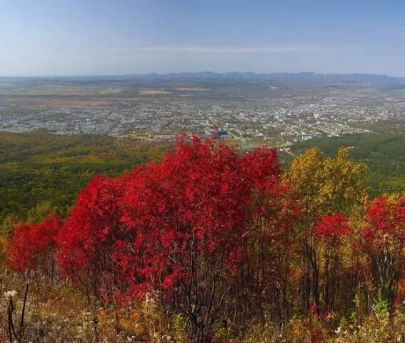 Южно-сахалинск осень. Южно сахалинск осенью. Южно сахалинск осенью. Южно-сахалинск осень. Осенний парк гагарина южно сахалинск.