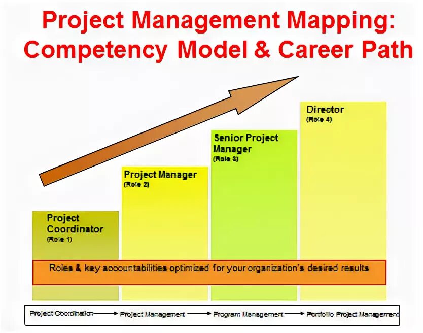 Junior project manager. Project manager career path. project management quality path. career track project. politician salary and career path.