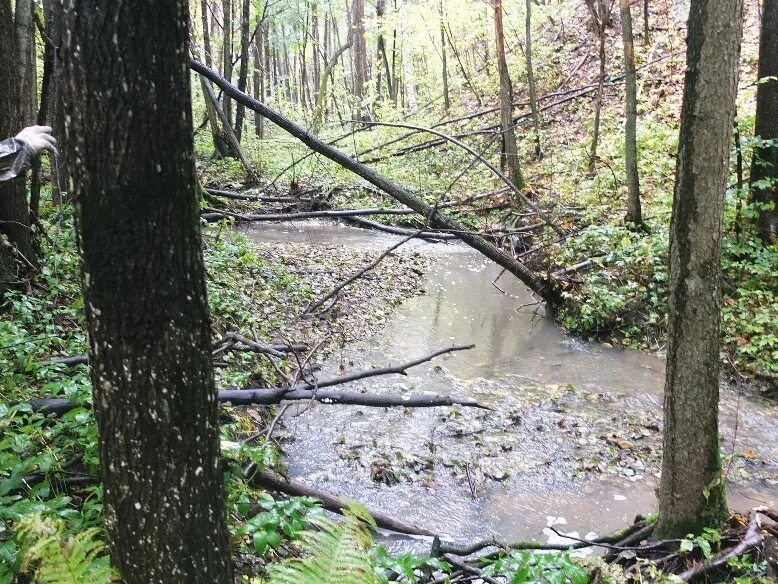 природная тропа лигатне. пешком по республике. поход в горы летом. поход (the hike) 2021 кадры. пеший туризм.