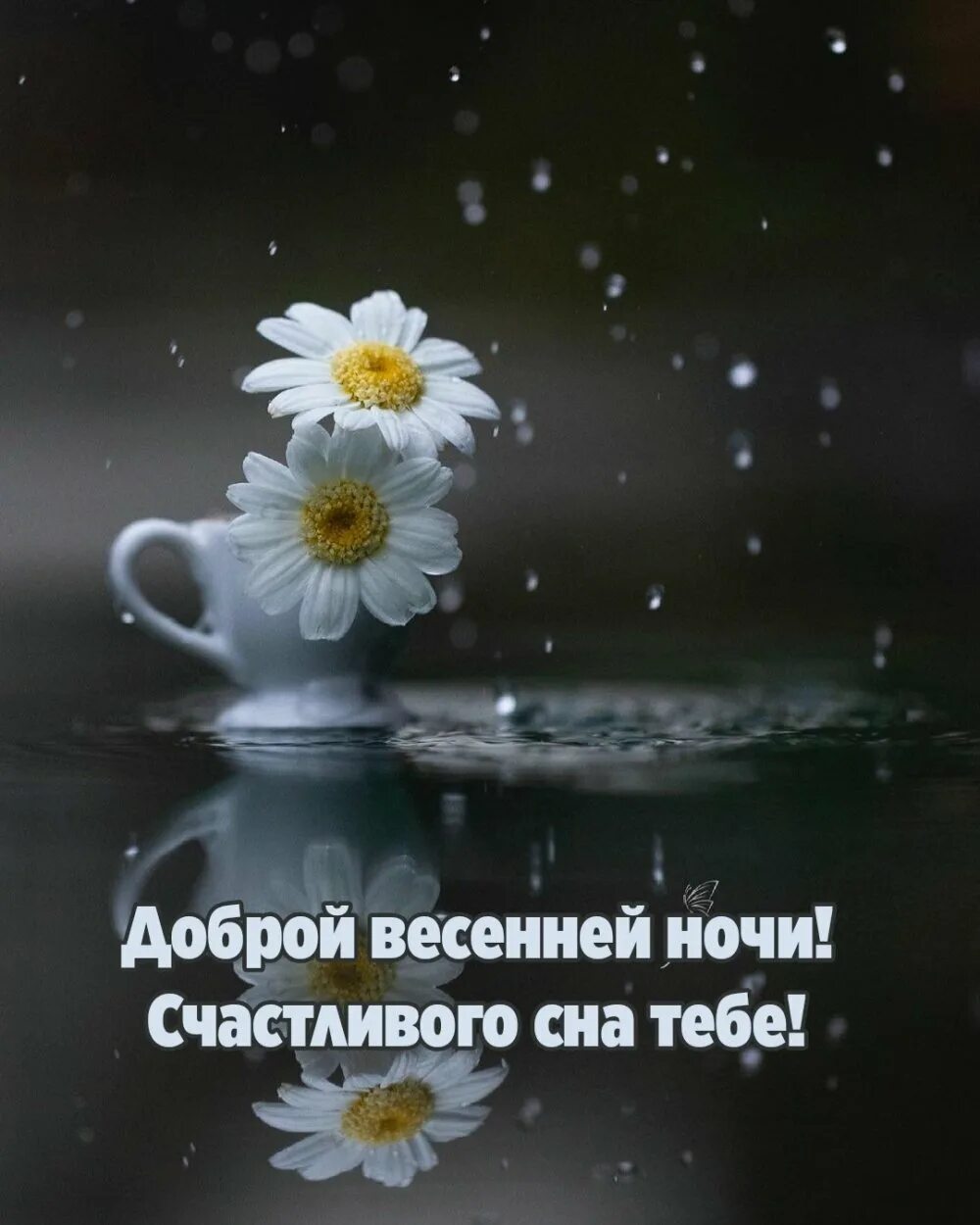 Доброго весеннего ночи. Спокойной весенней ночи. доброй весенней ночи. спокойной ночи вечнние. весенние пожелания доброй ночи.