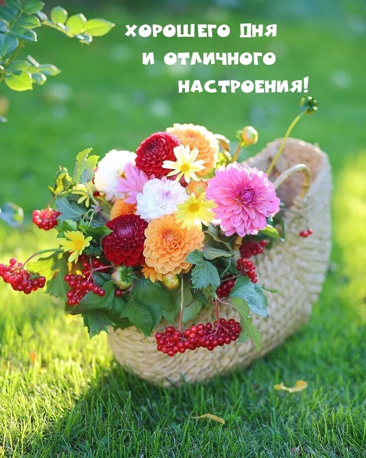 Позитивного летнего настроения