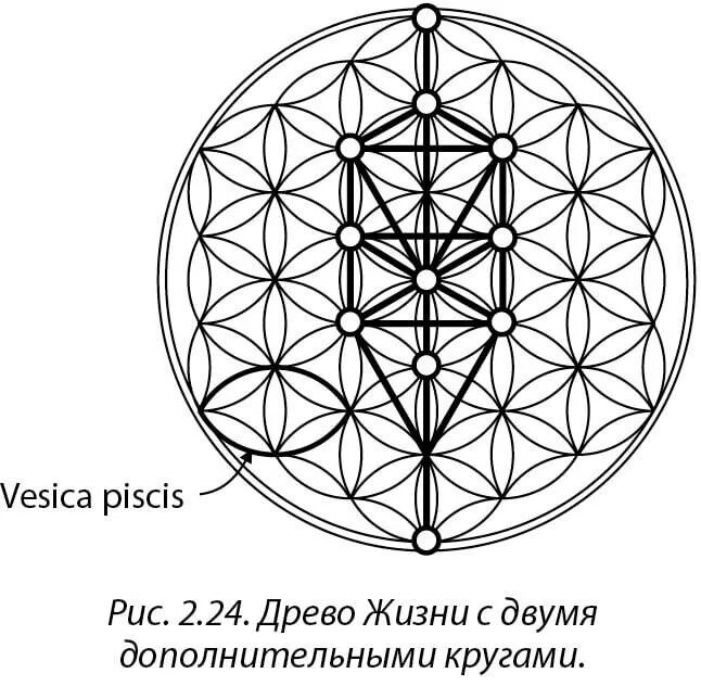 Книга цветок жизни тайны жизни. Друнвало Мельхиседек цветок жизни золотое сечение. Цветок жизни Сакральная геометрия Мельхиседек. Цветок жизни Весика Писцис. Сакральная геометрия древняя тайна цветка жизни Мельхиседек.