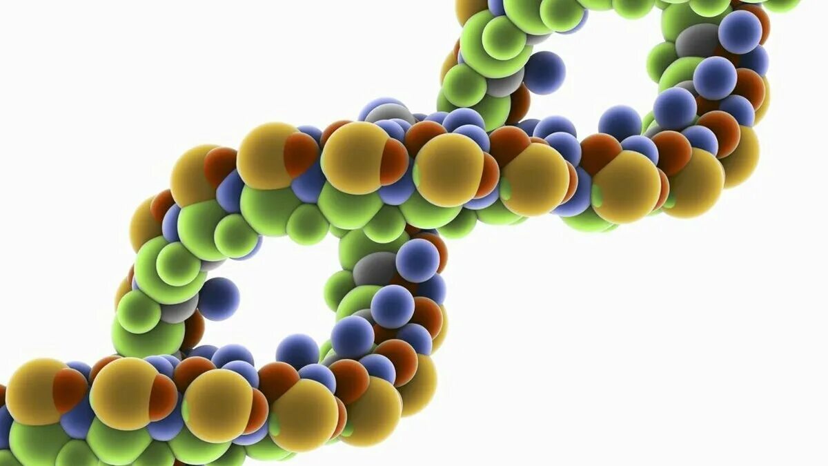 Биополимер ДНК. Молекула нуклеиновой кислоты. Молекула ДНК биополимер. Молекулы биополимеров. Рисунок биополимеров