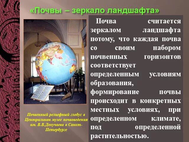 Докучаев назвал почву зеркалом природы. Докучаев почва зеркало ландшафта. Почему Докучаев назвал почву зеркалом ландшафта. Почва зеркало ландшафта эссе. Почвы зеркало ландшафта это кратко.