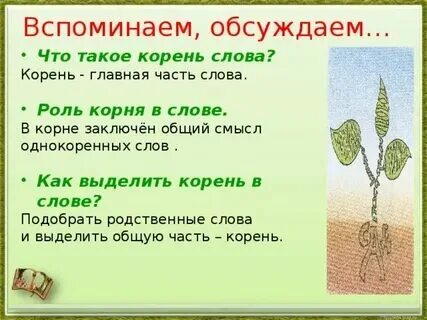 Сообщение корень слова