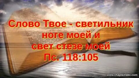 Сколько слов в твоем