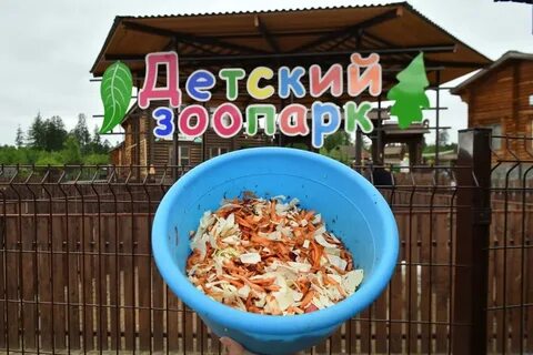 Двор зоопарк