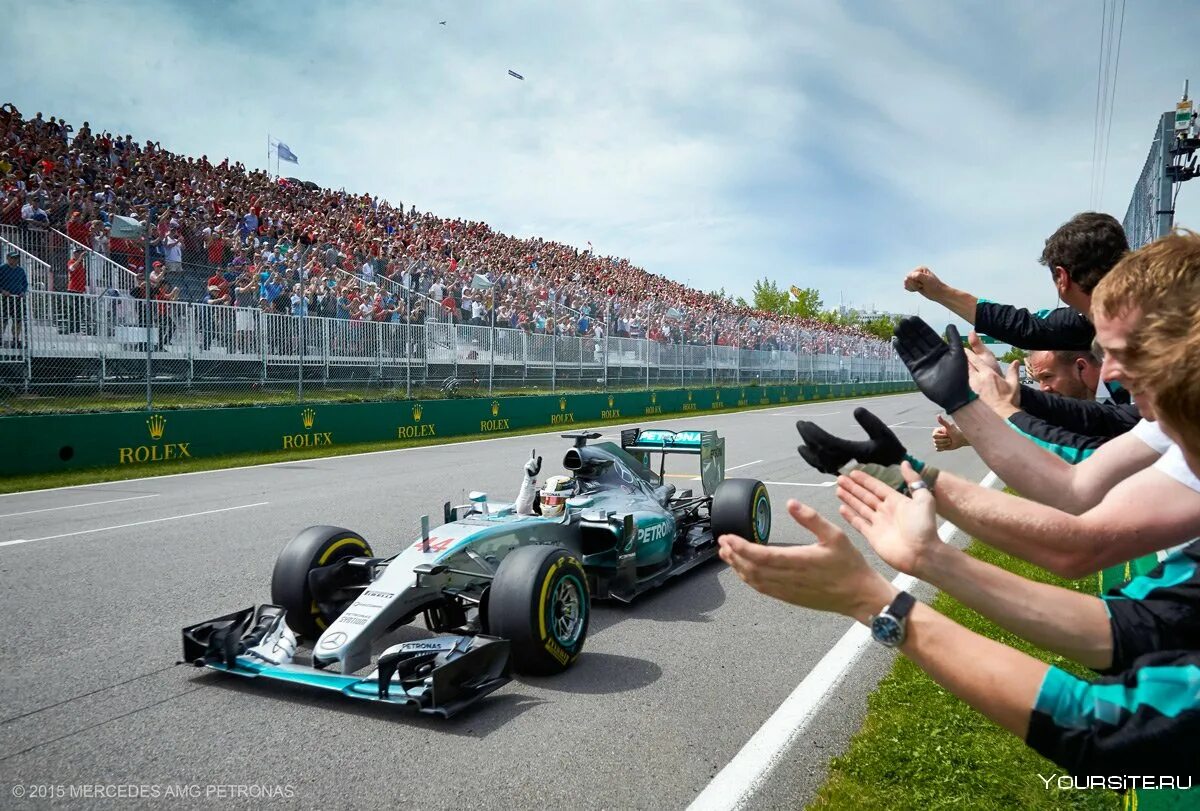 Leading over. Lewis Hamilton f1 2015. Mercedes f1 2015. Formula 1 Mercedes. Мерседес ф1.