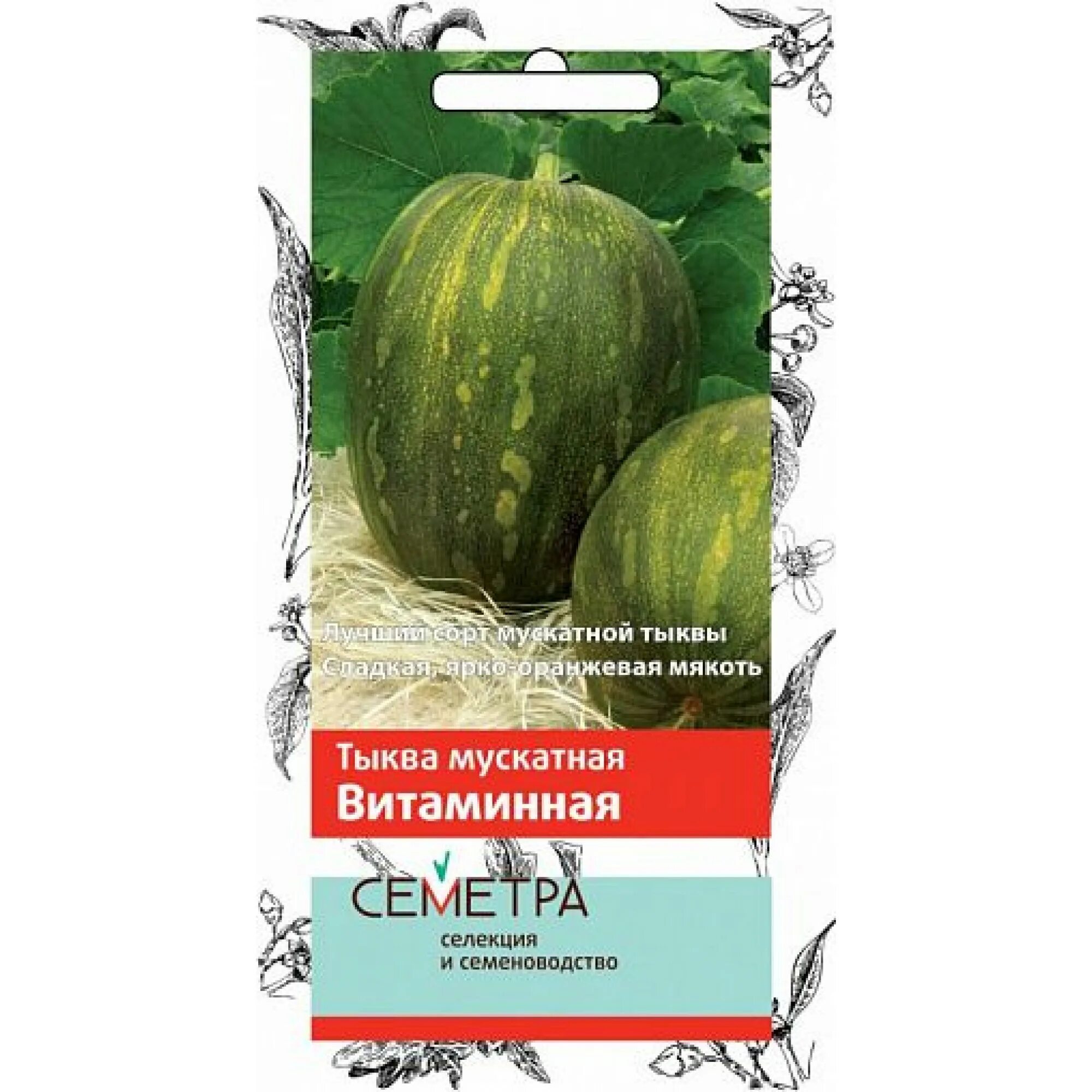 Тыква витаминная описание отзывы. Тыква мускатная &quot;витаминная&quot; 3 г. тыква сорт витаминная. семена тыква витаминная.